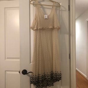 Free People Sheer Midi Slip Dress